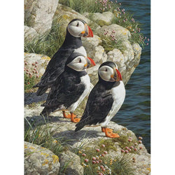 Fisherman's Wharf 500 Piece Jigsaw Puzzle Cobble Hill (ONLINE ORDER ONLY)