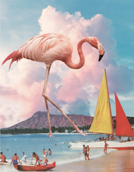 Flamingo Playground, Karen Lynch (Online Order Only)