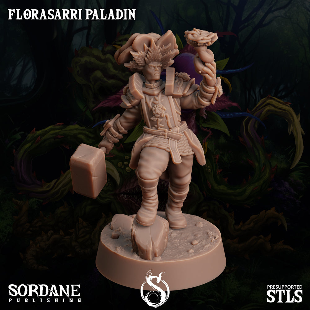 3D Printed Sordane Publishing Florasarri Paladin Cupid's Embrace Set 28 32mm D&D (Online Only)