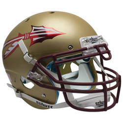 Florida State Seminoles College Football Collectible Mini Helmet - Picture Inside - FANZ Collectibles (Online Order Only) (ONLINE ORDER ONLY)