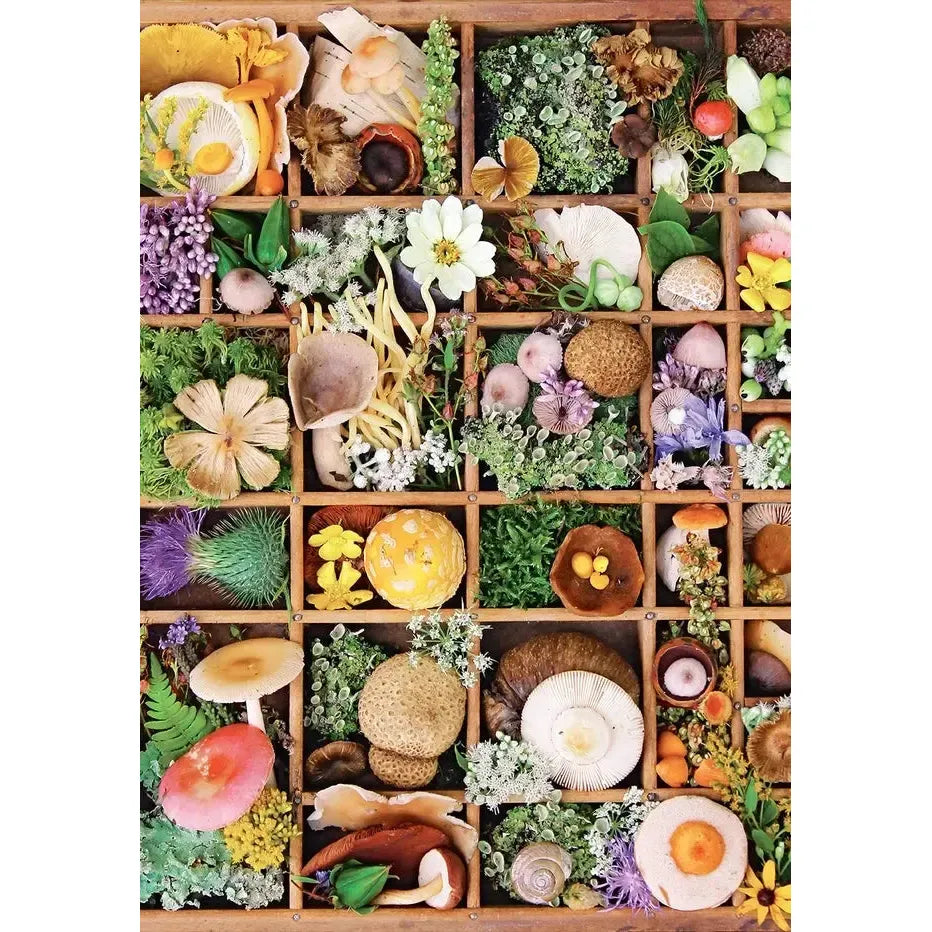 Flowers & Fungi 500 Piece Jigsaw Puzzle Insights (ONLINE ORDER ONLY)