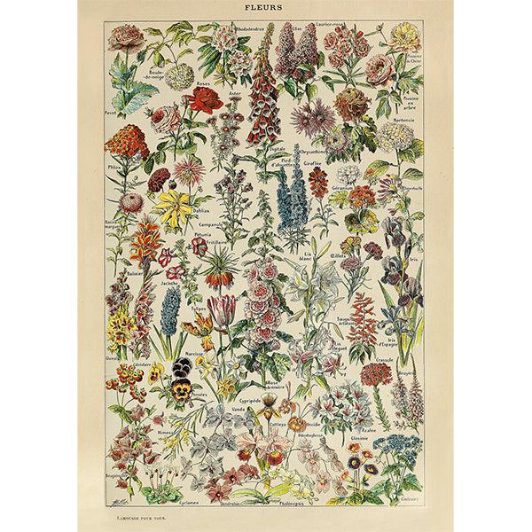 Flowers by Millot 1000 Piece Jigsaw Puzzle Piatnik (ONLINE ORDER ONLY)