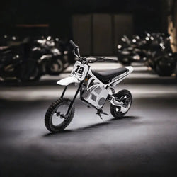 36V Freddo Electric Dirt Bike for Teens