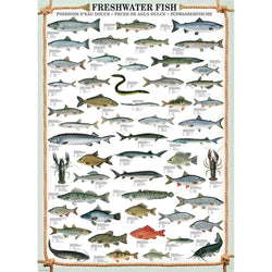 Freshwater Fish 1000 Piece Jigsaw Puzzle Eurographics (ONLINE ORDER ONLY)