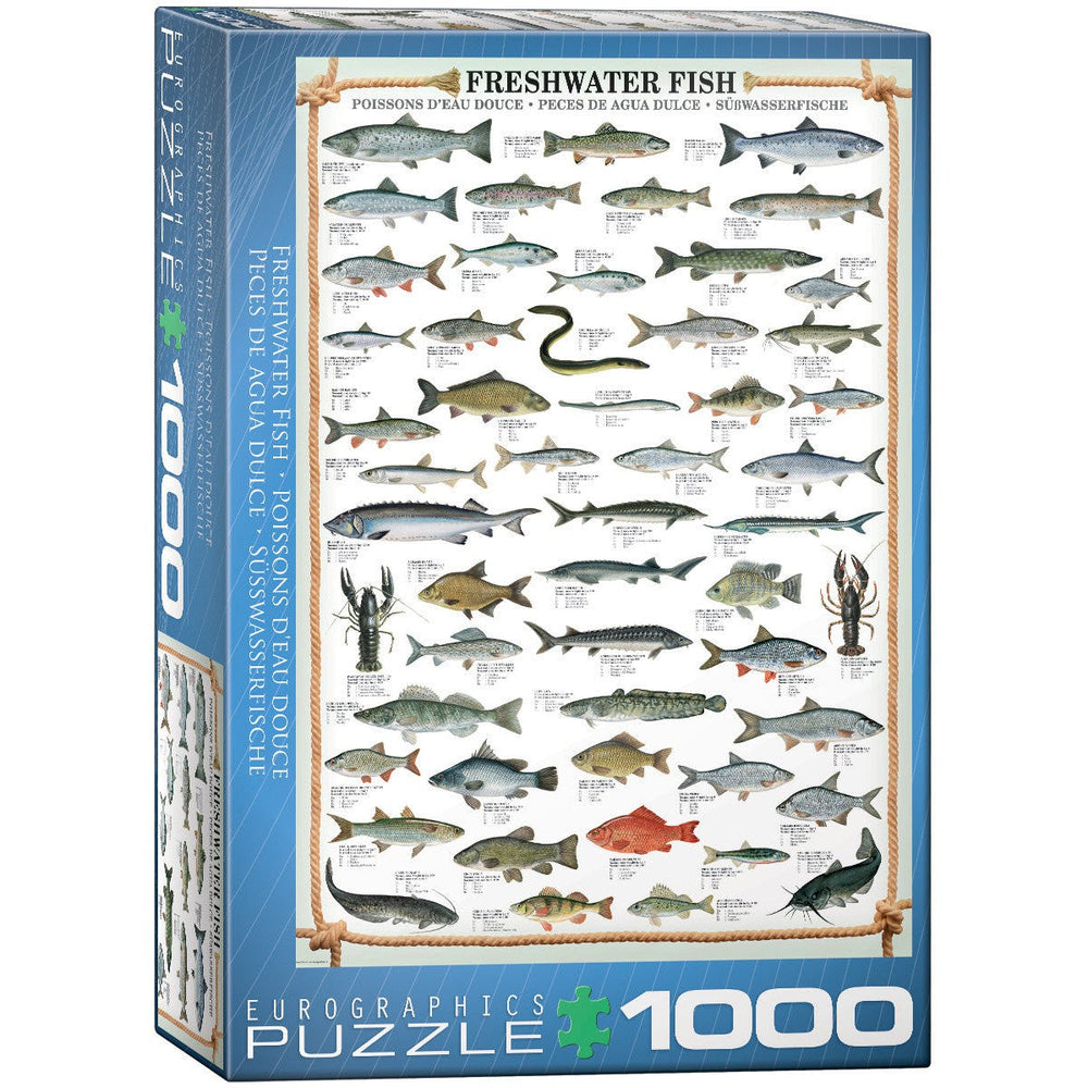Freshwater Fish 1000 Piece Jigsaw Puzzle Eurographics (ONLINE ORDER ONLY)