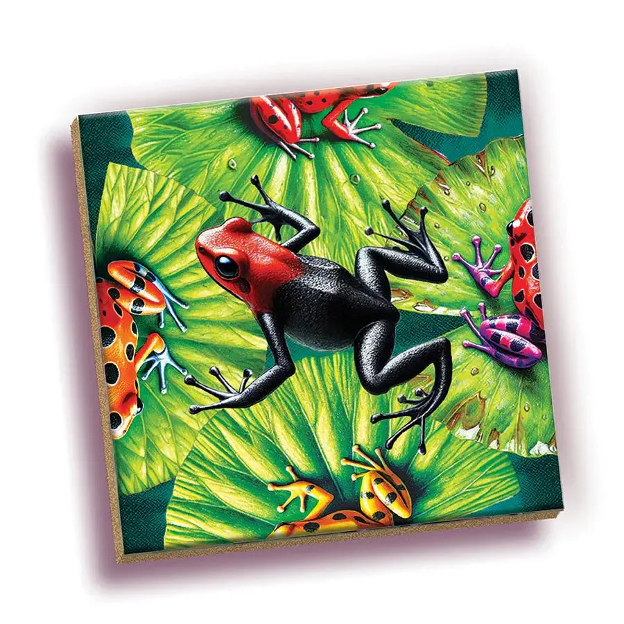 Frog 25 Piece Magic Square Tile Puzzle Sudoku Style Game Outset (ONLINE ORDER ONLY)