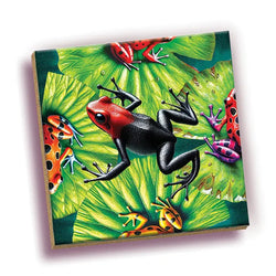 Frog 25 Piece Magic Square Tile Puzzle Sudoku Style Game Outset (ONLINE ORDER ONLY)