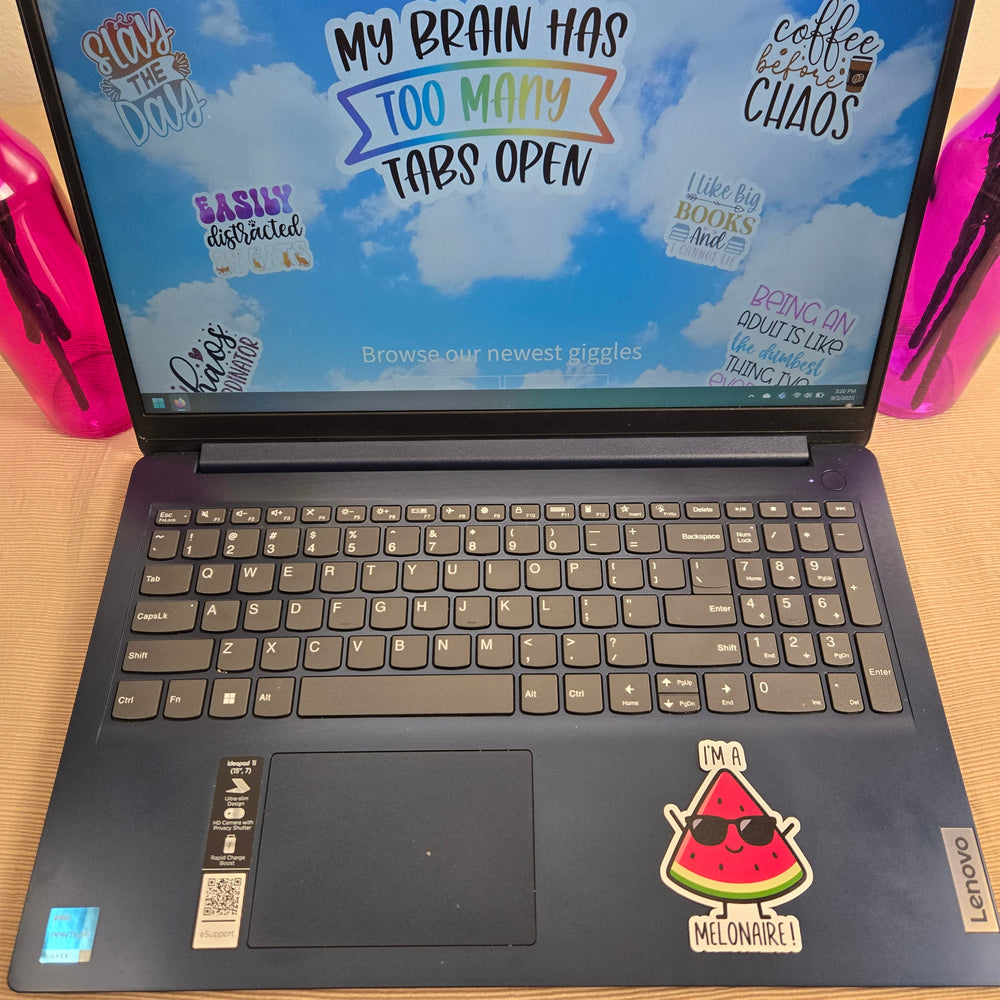 Funny Sarcastic Sticker (ONLINE ORDER ONLY)