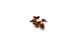 Gamers Grass | Laser Plants | Alien Flytrap (ONLINE ORDER ONLY)