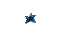 Gamers Grass | Laser Plants | Alien Rosette (ONLINE ORDER ONLY)