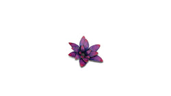 Gamers Grass | Laser Plants | Alien Rosette (ONLINE ORDER ONLY)