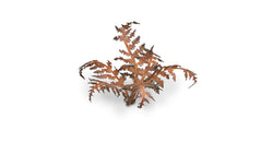 Gamers Grass | Laser Plants | Dry Bracken (ONLINE ORDER ONLY)