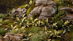 Gamers Grass | Laser Plants | Deer Fern (ONLINE ORDER ONLY)