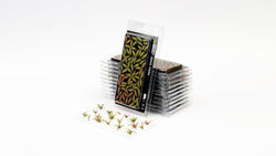 Gamers Grass | Laser Plants | Deer Fern (ONLINE ORDER ONLY)