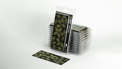 Gamers Grass | Laser Plants | Bracken (ONLINE ORDER ONLY)