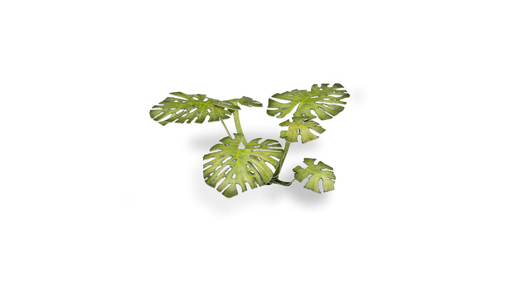 Gamers Grass | Laser Plants | Monstera (ONLINE ORDER ONLY)