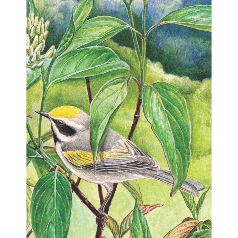 Golden-winged Warbler 100 Piece Mini Jigsaw Puzzle NYPC (ONLINE ORDER ONLY)