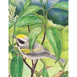 Golden-winged Warbler 100 Piece Mini Jigsaw Puzzle NYPC (ONLINE ORDER ONLY)