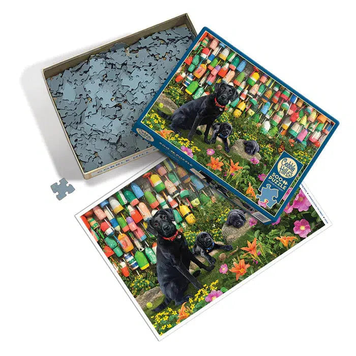 Good Buoys 500 Piece Jigsaw Puzzle Cobble Hill (ONLINE ORDER ONLY)