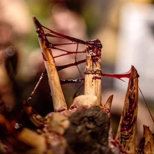 Dirty Down | Basing and Model Effects | Gore (ONLINE ORDER ONLY)