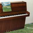The Sophtware Slump.....On A Wooden Piano [Vinyl]