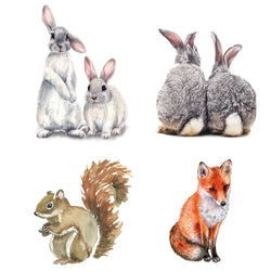 Cute Animal Wall Stickers: Rabbits, Fox, Bird - Kids Room Decor, Removable Decals (Online Order Only)