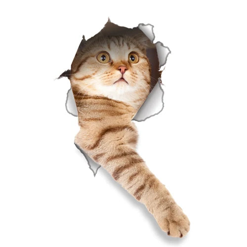 Vinyl Cat 3D Wall Sticker Bathroom Living Room Decor Decal (Online Order Only)