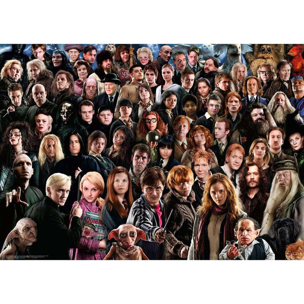 Harry Potter Collage Challenge 1000 Piece Jigsaw Puzzle Ravensburger (ONLINE ORDER ONLY)