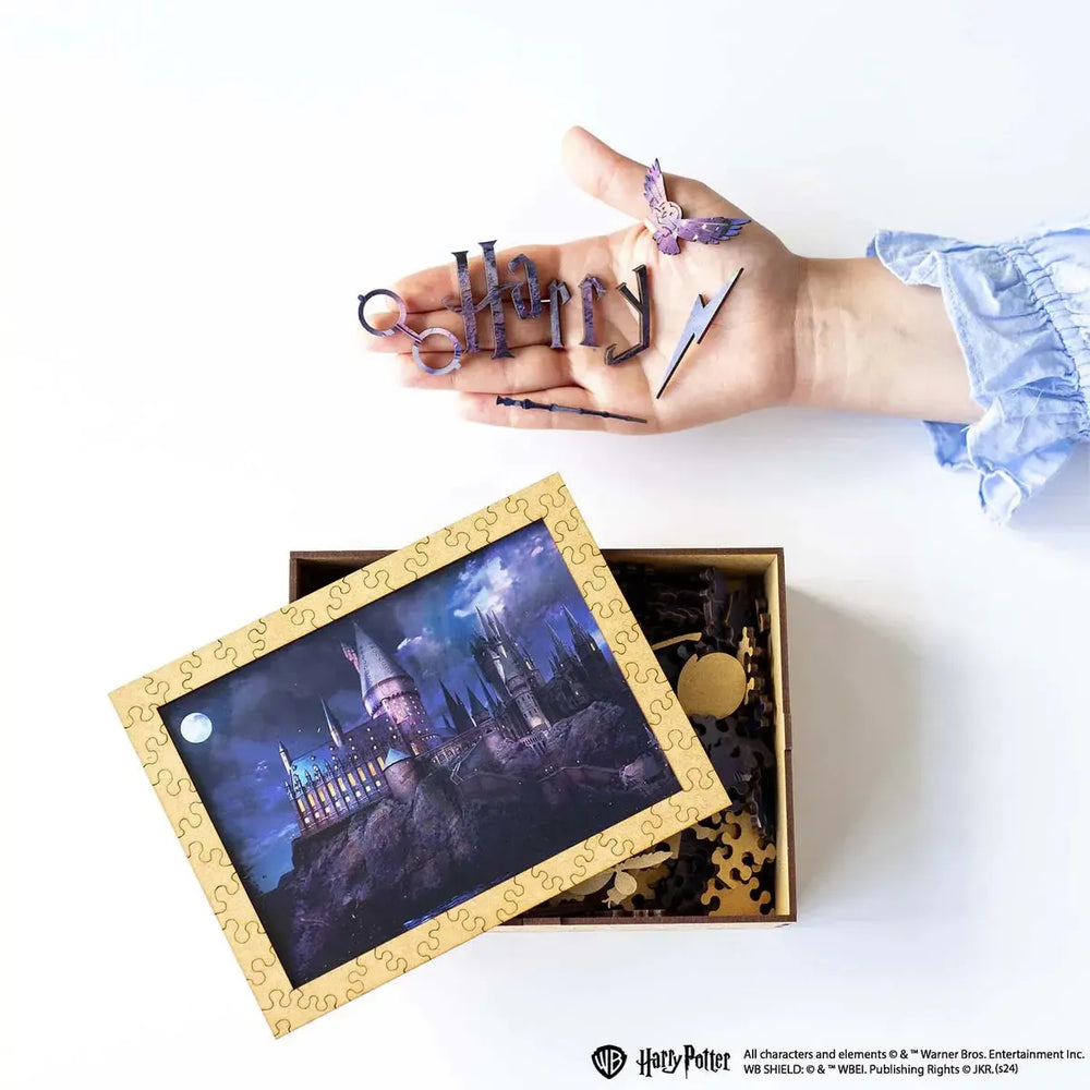 Harry Potter Hogwarts Castle at Night Wooden 338 Piece Jigsaw Puzzle Woods Story (ONLINE ORDER ONLY)