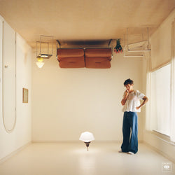 Harry's House (Gatefold jacket, printed inner sleeve, 5”x 7” postcard, 12 page booklet) [Vinyl]