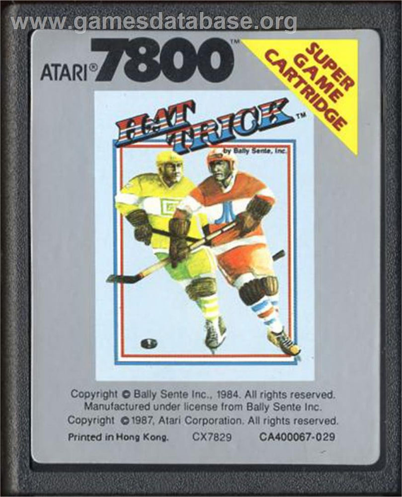 Hat Trick (Atari 7800) (Online Order Only)