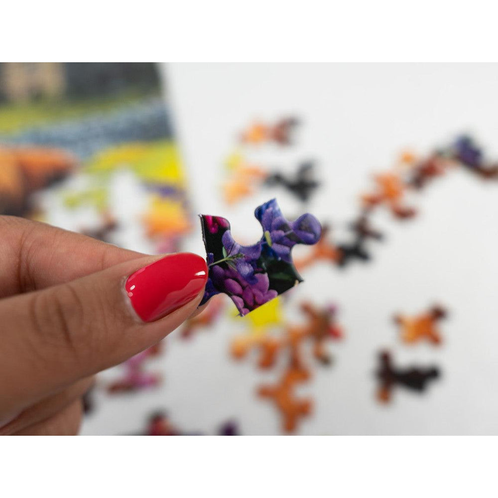 Highland Cows 500 Piece Jigsaw Puzzle Springbok (ONLINE ORDER ONLY)
