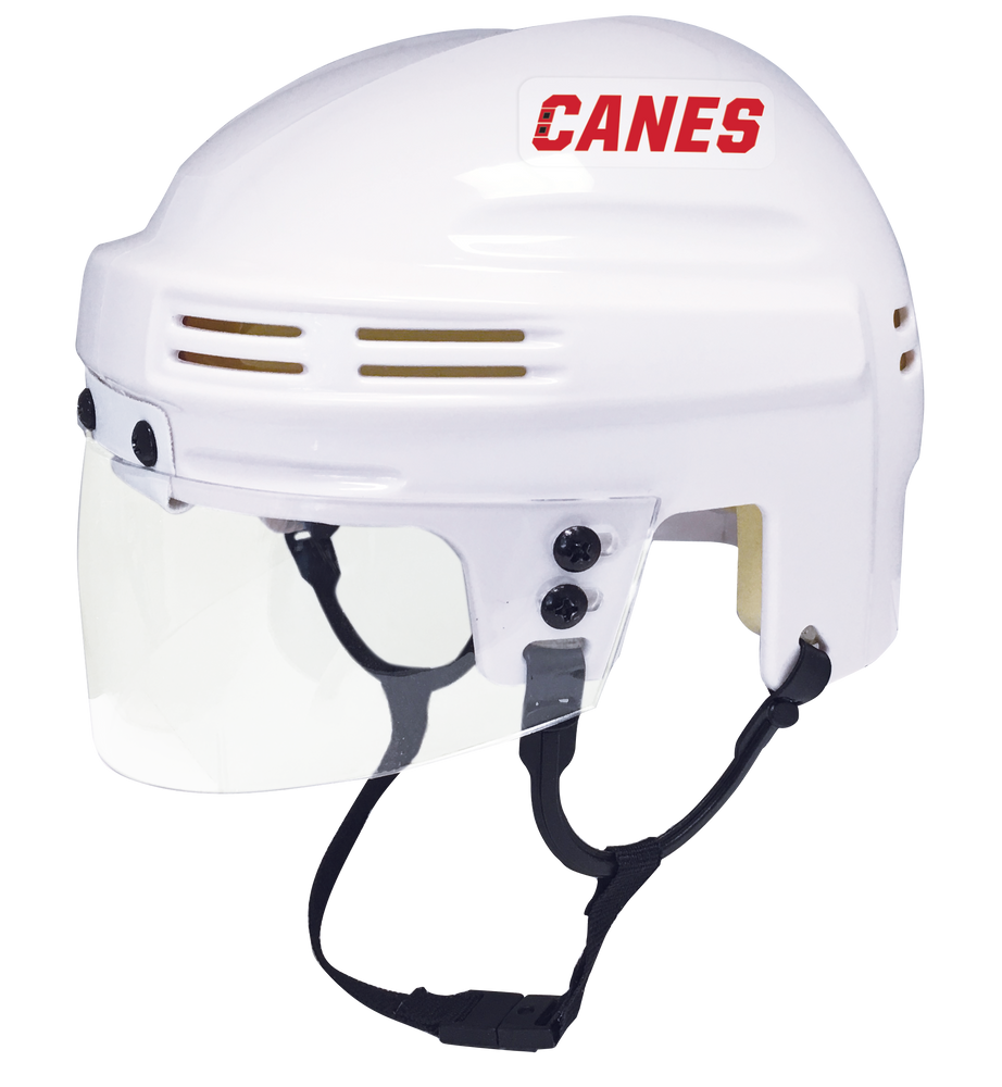 Carolina Hurricanes - NHL Collectible Mini Helmet - Picture Inside - FANZ Collectibles (Online Order Only) (ONLINE ORDER ONLY)