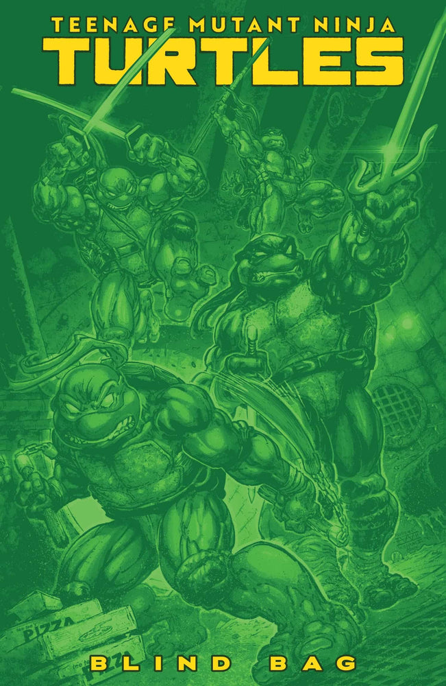 TMNT #13 Blind Bag Pre-Order (ONLINE ORDER ONLY)