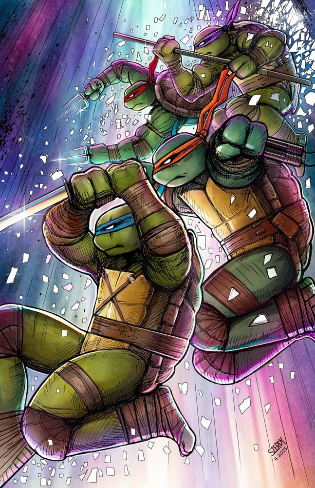 TMNT #13 Blind Bag Pre-Order (ONLINE ORDER ONLY)