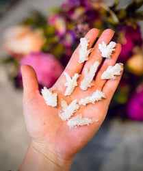 Cave Calcite Specimens From Mexico (ONLINE ORDER ONLY)