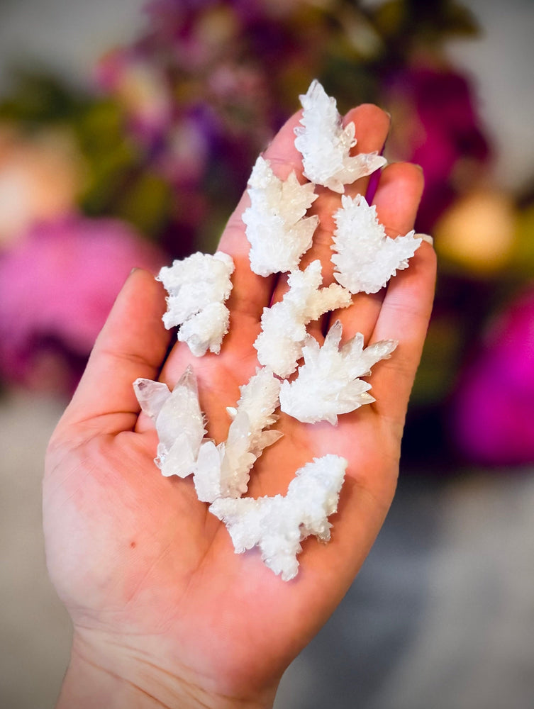 Cave Calcite Specimens From Mexico (ONLINE ORDER ONLY)