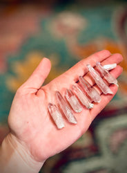 Vera Cruz Amethyst Points (ONLINE ORDER ONLY)