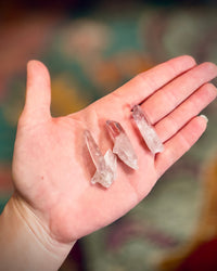Vera Cruz Amethyst Points (ONLINE ORDER ONLY)