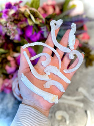 Ram's Horn Selenite, Rare Mineral Specimen
