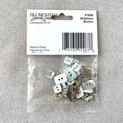 1808 Shell - Shellz - 2 Holes - Assorted Sizes - Natural (ONLINE ORDER ONLY)