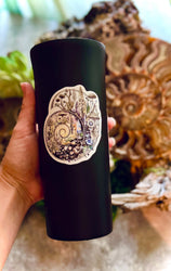 Ammonite Sticker – 3" Ancient Fossil Crystal Spiral Vinyl Decal (ONLINE ORDER ONLY)