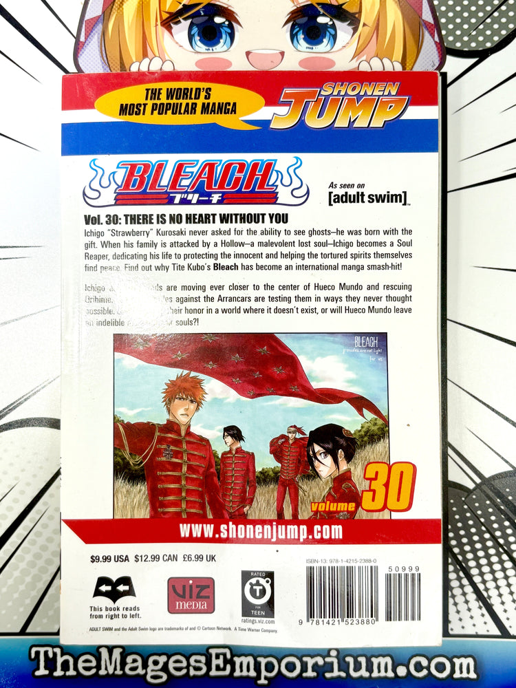 Bleach Vol 30 (Online Order Only)