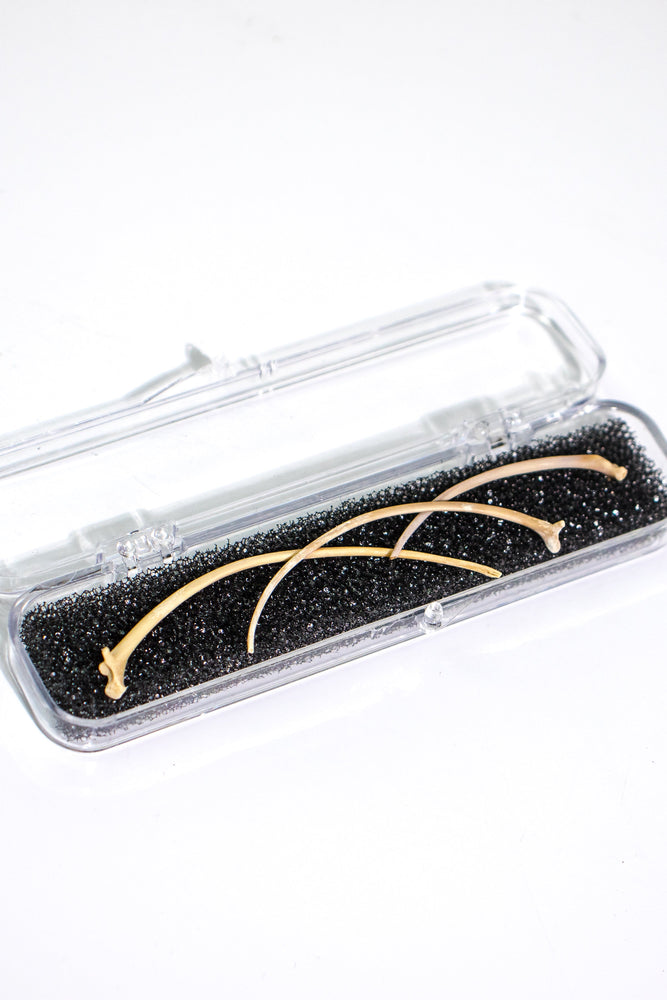 Rattlesnake Ribs (ONLINE ORDER ONLY)