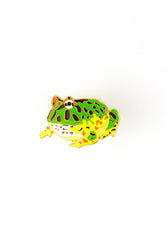 Surinam Horned Frog Enamel Pin (Ceratophrys cornuta)