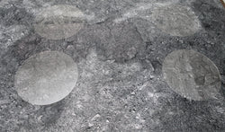 Acrylic Objective Zone Markers - For Use in Conquest (Not Official)