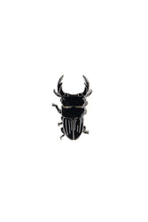 Japanese Stag Beetle Enamel Pin (Dorcus hopei binodulosus)