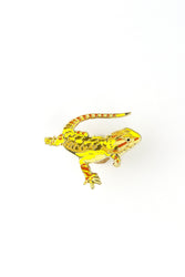 Bearded Dragon Enamel Pin (Pogona vitticeps)