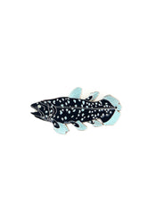 Coelacanth Enamel Pin (Coelacanthiformes)