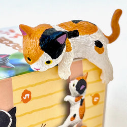 Resting Cats Blind Box (1 Blind Box)